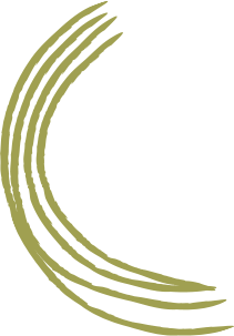 sakthisrinivasangroup.com